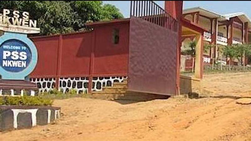 ক্যামেরুনে  স্কুল থেকে ৮০ ছাত্র  অপহরণ