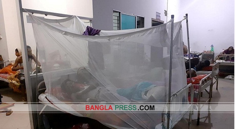 ডোমারে ৩৫জন ডেঙ্গু রোগী সনাক্ত