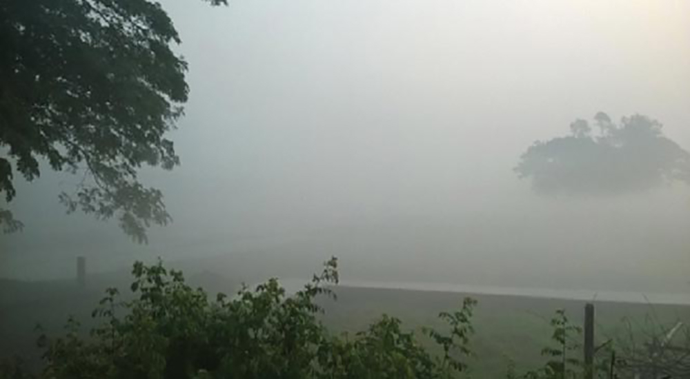 সারা দিনের তাপমাত্রা অপরিবর্তিত থাকবে