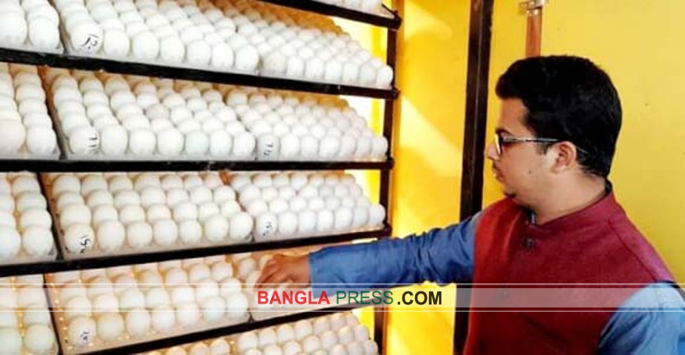 ইনকিউবেটর মেশিনে বাচ্চা ফুটিয়ে স্বাবলম্বী উলিপুরের রেজা