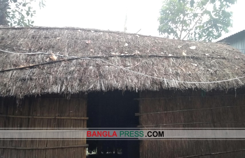 কালের বিবর্তনে হারিয়ে যাচ্ছে ঐতিহ্যবাহী খড়ের ঘর