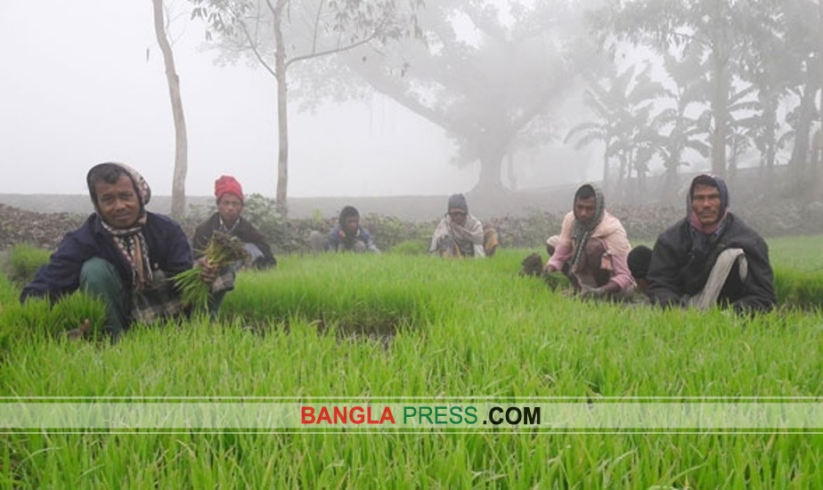 শৈত্যপ্রবাহে কুড়িগ্রামের জনজীবনে চমর ভোগান্তি