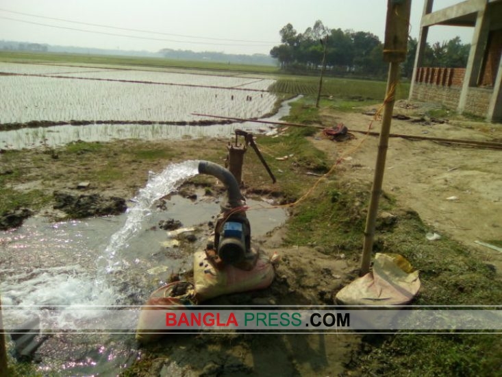 গৌরীপুরে বিদ্যালয়ের বিদ্যুৎ সংযোগ ব্যবহার করে চালাচ্ছে সেচ যন্ত্র