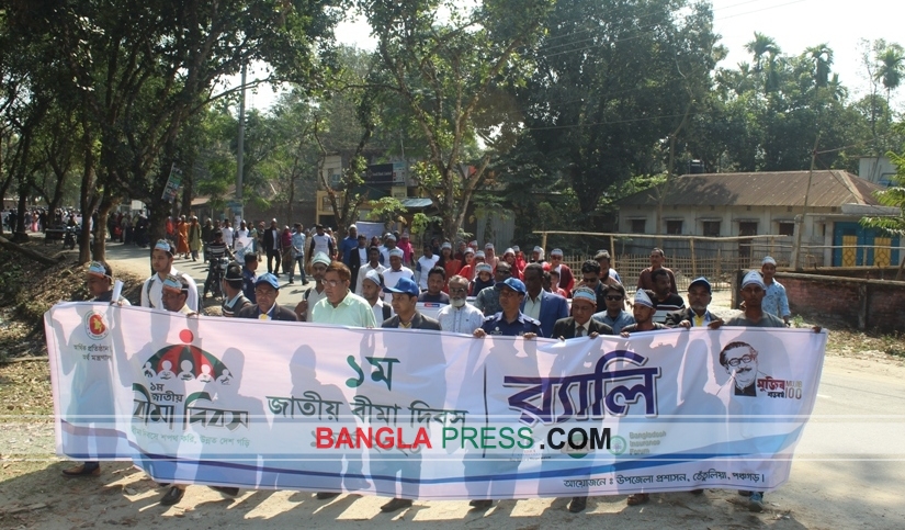 তেঁতুলিয়ায় জাতীয় বীমা দিবস পালিত