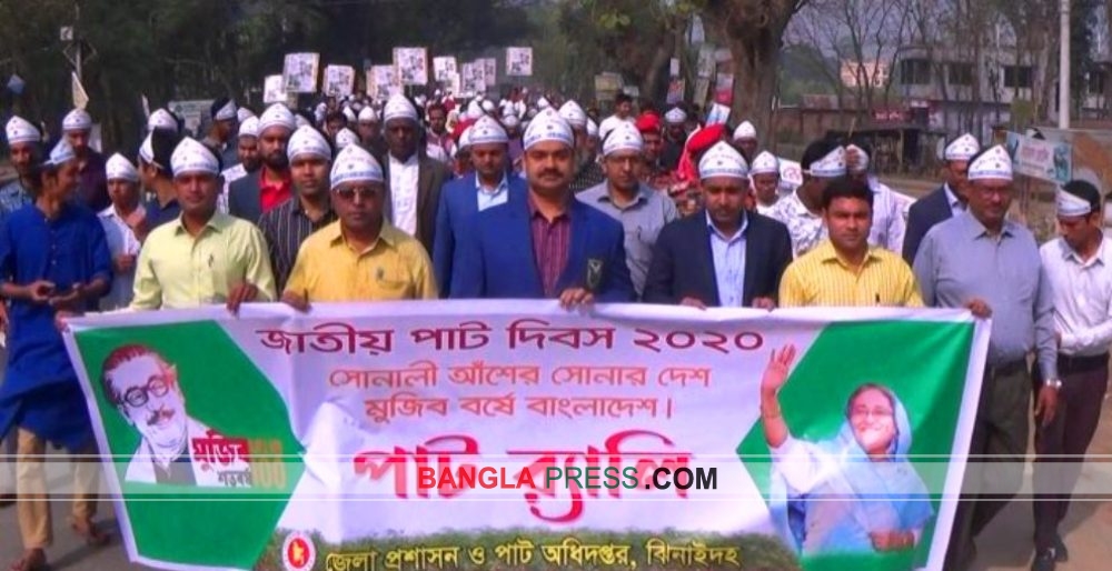 ঝিনাইদহে বর্ণাঢ্য আয়োজনে জাতীয় পাট দিবস পালিত
