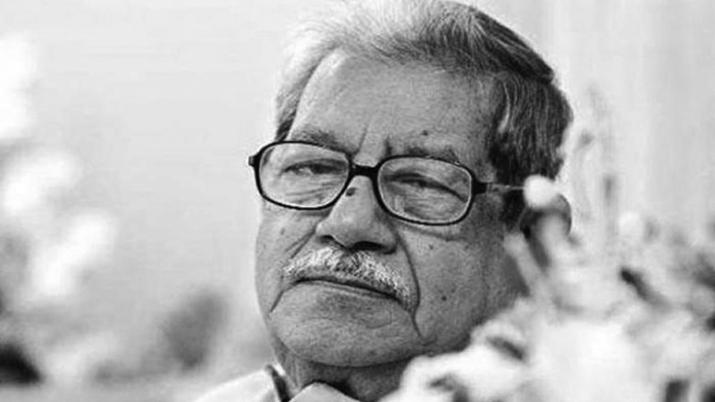 জাতীয় অধ্যাপক আনিসুজ্জামান আর নেই