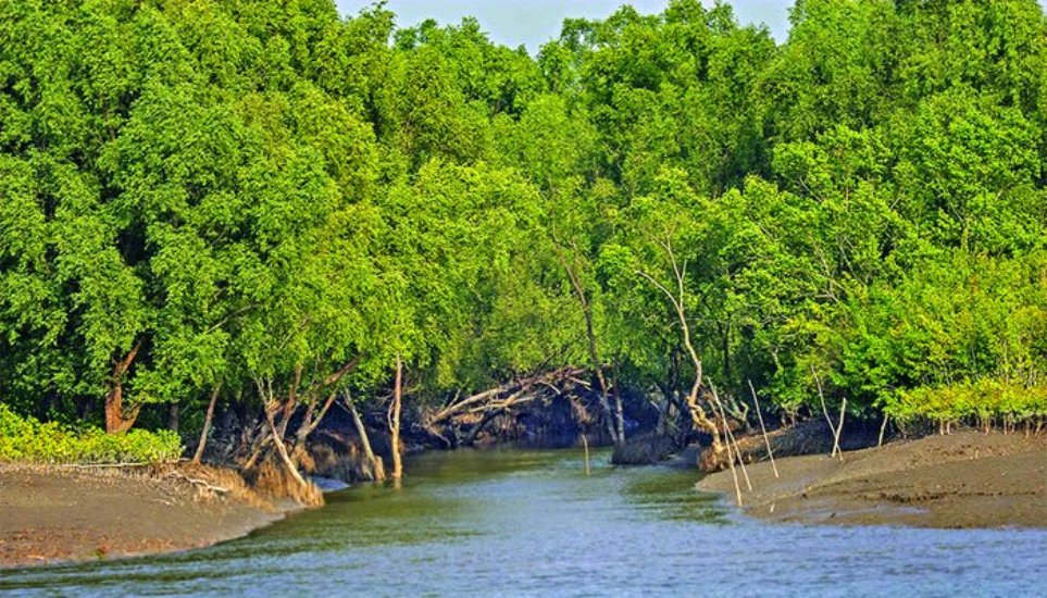 সুন্দরবনের কাছ দিয়ে অতিক্রম করতে পারে ‘আম্পান’
