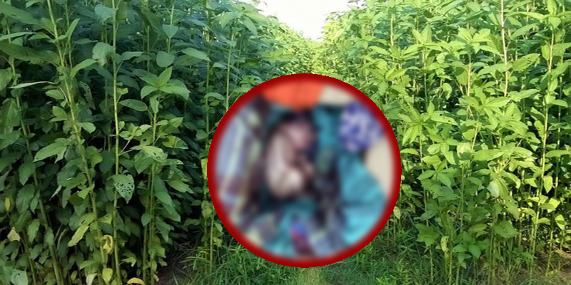 ঝিনাইদহে পাট ক্ষেত থেকে নবজাতকের মৃতদেহ উদ্ধার