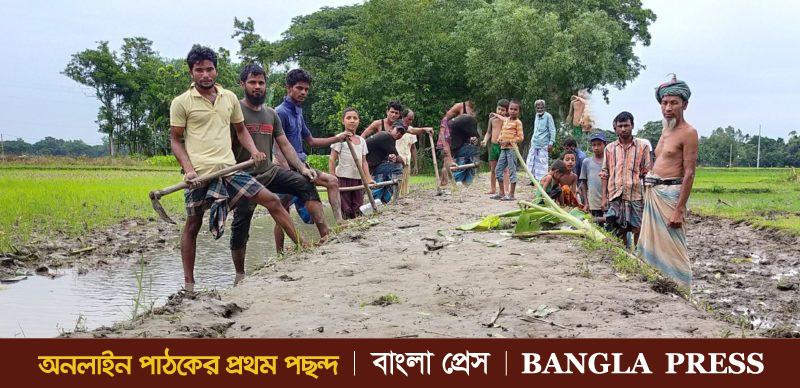 গৌরীপুরে স্বেচ্ছাশ্রমে এক কিলোমিটার নতুন রাস্তা নির্মান