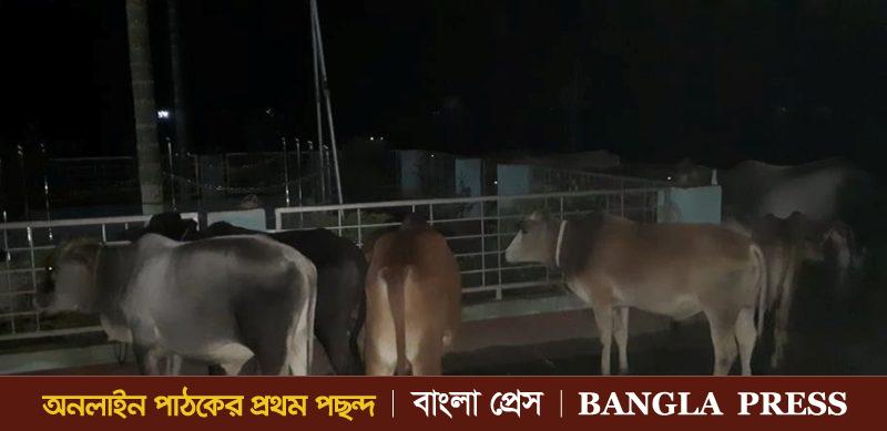 তেঁতুলিয়ার সীমান্ত পথসহ চোরাকারবারী ঠেকাতে সক্রিয় রয়েছে পুলিশ