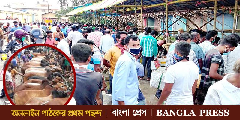 গৌরীপুরে গরুর হাটে মানা হচ্ছে না স্বাস্থবিধি