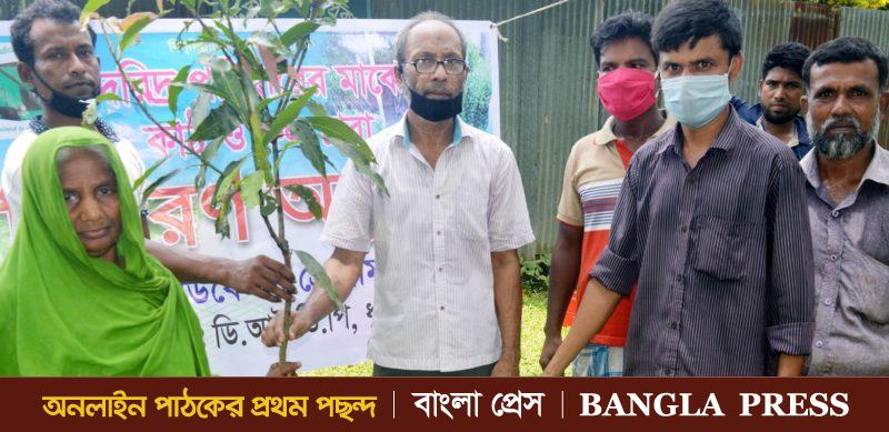 ধুনটে দরিদ্র পরিবারের মাঝে চারা গাছ বিতরণ