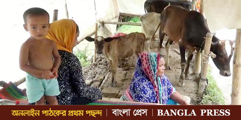 ভয়াবহ বন্যা : ঘরের মাল-ছামানা কিছু বাইর করতি পারি নাই