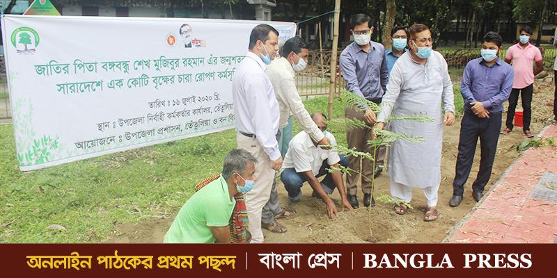 তেঁতুলিয়ায় বৃক্ষের চারা রোপণ কর্মসূচি পালিত