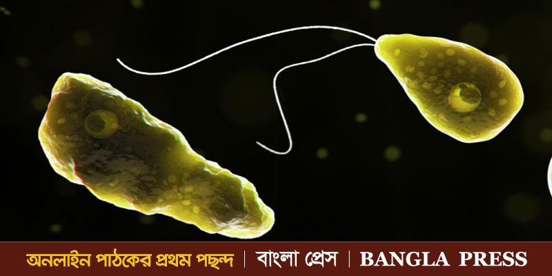 ফ্লোরিডায় করোনার মাঝেই অ্যামিবা’য় আক্রান্ত ১, সতর্কতা জারি!