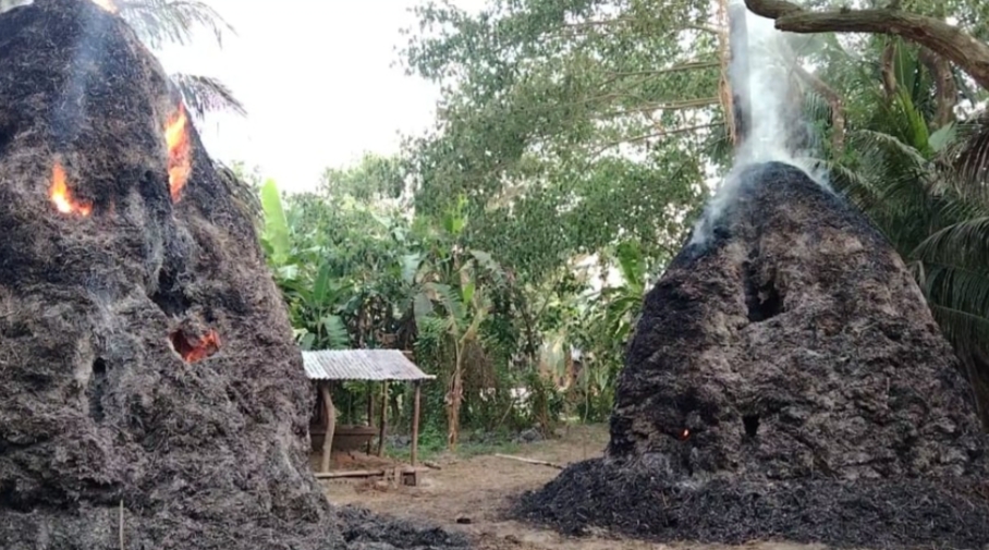 লক্ষ্মীপুরে খামারির খড়ের গদায় আগুন দিয়েছে দুবৃর্ত্তরা