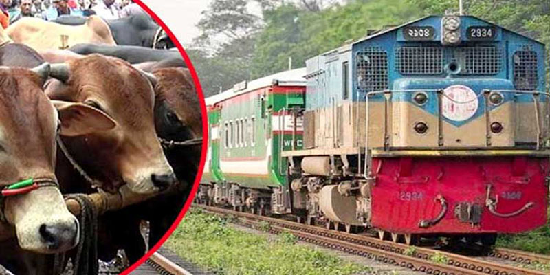 এবারও কোরবানির পশু পরিবহনে থাকবে স্পেশাল ট্রেন