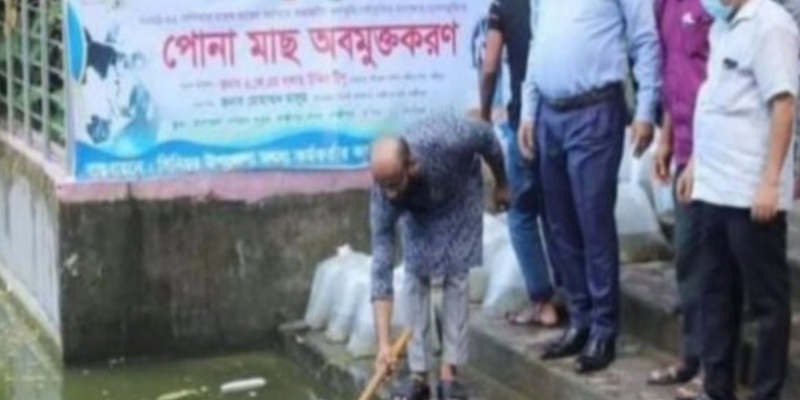 লক্ষ্মীপুরের বিভিন্ন জলাশয়ে পোনামাছ অবমুক্ত করা হয়