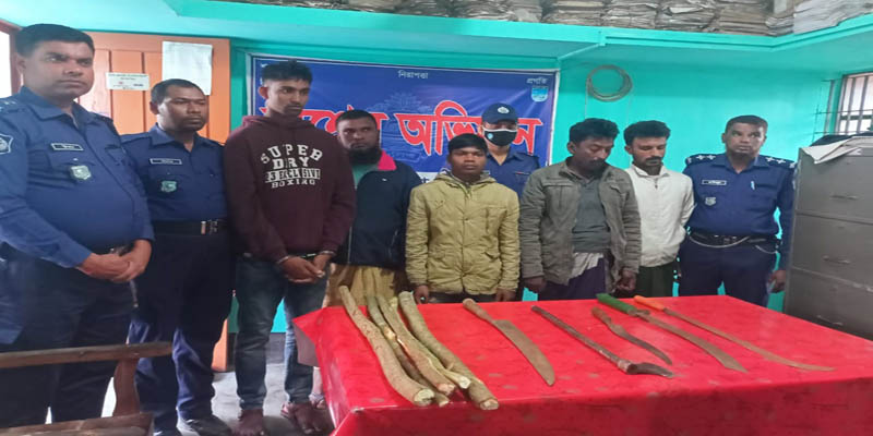 ফরিদপুরের বোয়ালমারীতে পাঁচ ডাকাত আটক