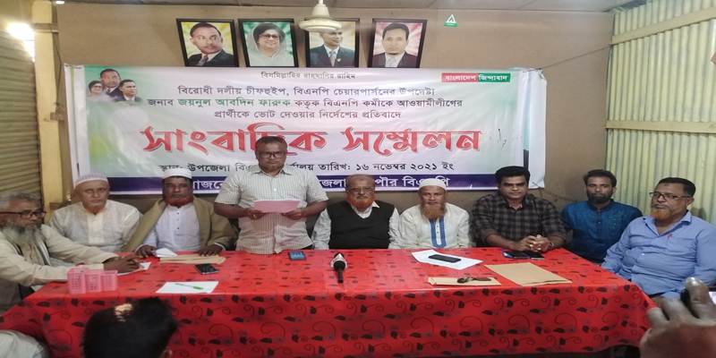চীফ হুইপ ফারুকের বিরুদ্ধে নৌকা মার্কায় ভোট দেওয়ার নির্দেশের অভিযোগ