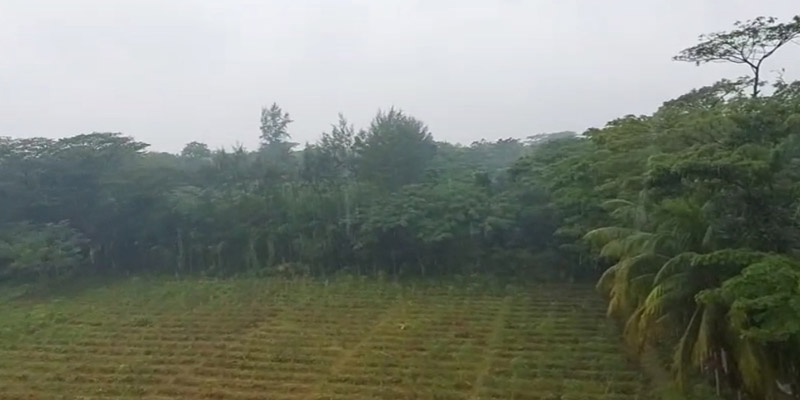 লক্ষ্মীপুরে গত শনিবার থেকেই শুরু হয়েছে একটানা বৃষ্টি