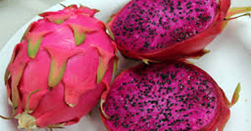 ড্রাগন ফল খাওয়ার ৬টি উপকারিতা জেনে নিন