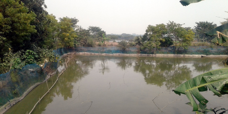 সরকারি বাওড়ের আড়াই’শ বিঘা জমি ব্যক্তির নামে রেকর্ড !