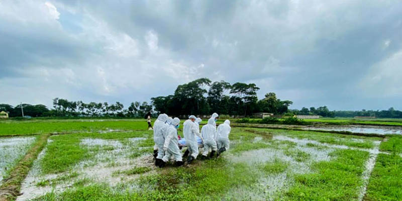 করোনায় আরও ৩৩ মৃত্যু, শনাক্ত ৮,০১৬