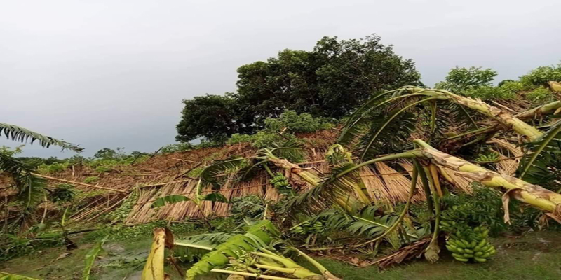 ঝিনাইদহে ১০ মিনিটের কালবৈশাখী ঝড়ে ব্যাপক ক্ষয়ক্ষতি