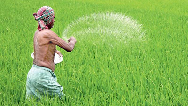 কেজিতে ৬ টাকা বাড়ল ইউরিয়া সারের দাম