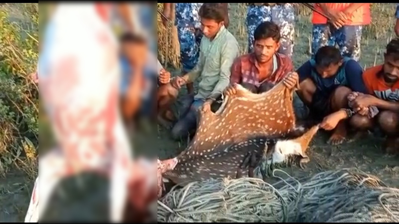 হাতিয়াতে ৬ হরিণ শিকারী আটক
