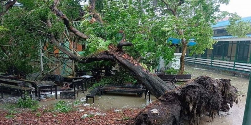 মিয়ানমারে ঘূর্ণিঝড় মোখার তাণ্ডবে নিহত ৩
