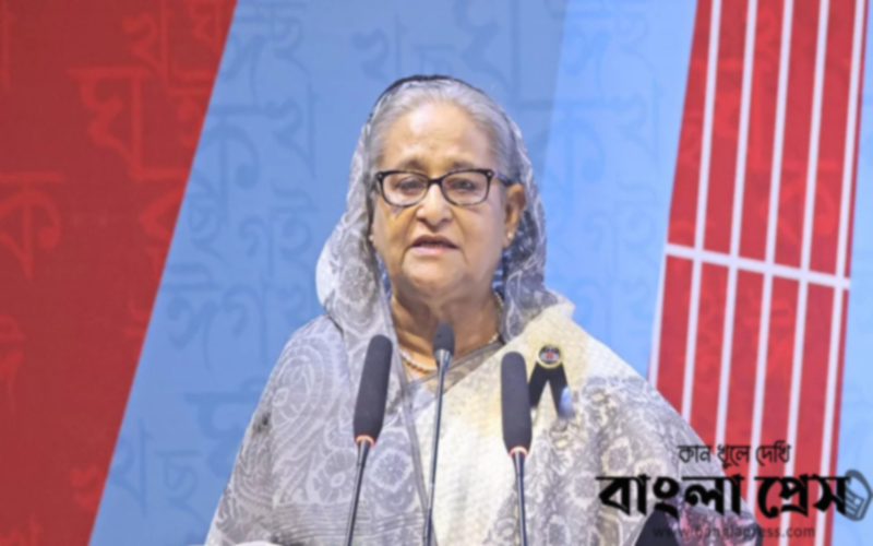 স্মার্ট হতে গেলে ইংরেজিতেই কথা বলতে হবে তা নয়: প্রধানমন্ত্রী
