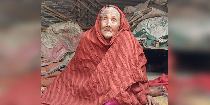 ঝিনাইদহে বৃদ্ধার ভাতার টাকা যায় সাবেক ইউপি সদস্যের মোবাইলে !
