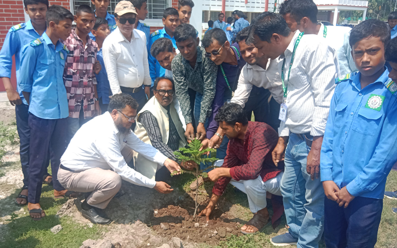 তেঁতুলিয়ায় পথশিশু কল্যাণ ট্রাস্টের উদ্যোগে বৃক্ষ রোপন কর্মসূচি অনুষ্ঠিত 