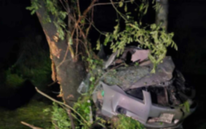 বন্ধুদের সঙ্গে বেড়াতে গিয়ে প্রাইভেটকার দুর্ঘটনা: নিহত ৫
