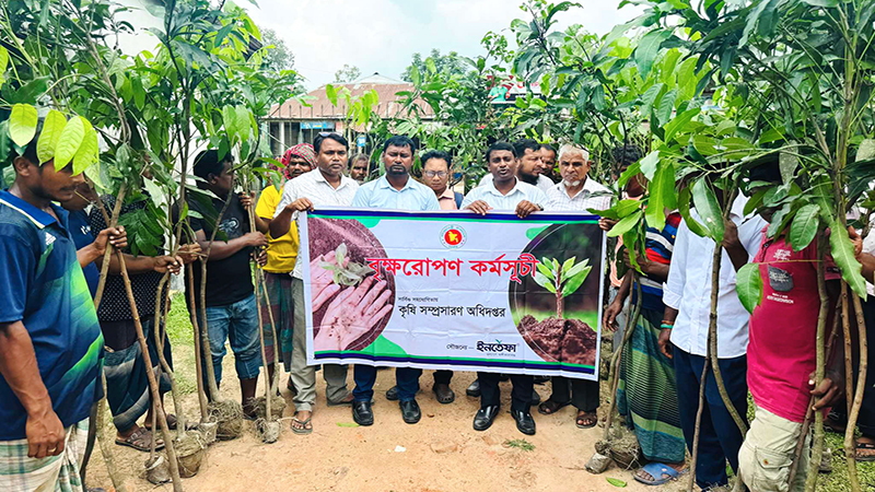 রুহিয়ায় ফলদ ও বনজ জাতের চারা বিতরণ