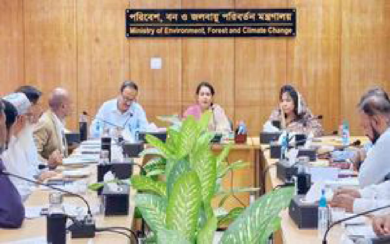 তিন হাজারের বেশি অবৈধ ইটভাটা বন্ধ করা হবে: পরিবেশ উপদেষ্টা