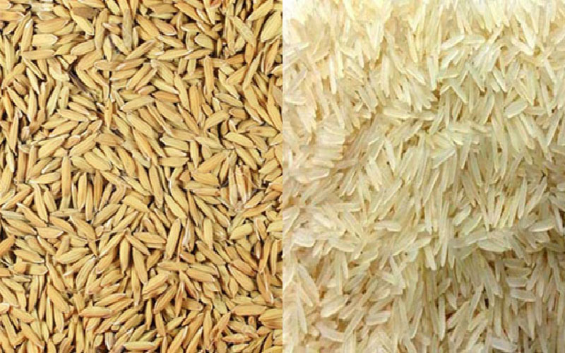 ধান-চালের মূল্য নির্ধারণ করে দিলো সরকার