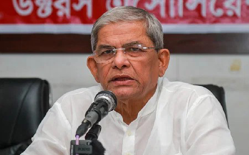 নির্বাচনই চলমান সংকটের একমাত্র সমাধান: মির্জা ফখরুল