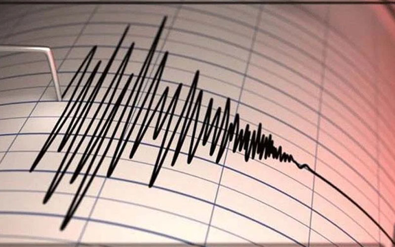 মধ্যরাতে দেশের বিভিন্ন স্থানে ভূমিকম্প