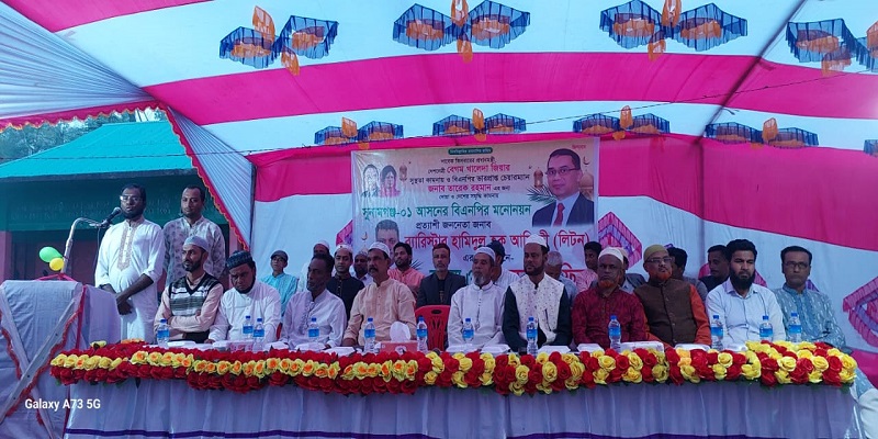 ধানের শীর্ষে সম্ভাব্য প্রার্থী হামিদুল হক আফিন্দীর দোয়া ও ইফতার মাহফিল