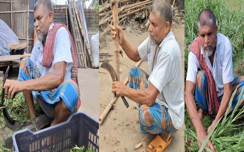 অন্ধত্ব রুখতে পারেনি আরশাদ আলীকে করেন সংসারের সব কাজ