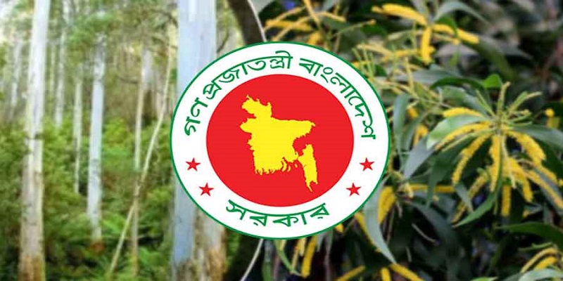 দেশে নিষিদ্ধ করা হলো ইউক্যালিপটাস ও আকাশমনি গাছ