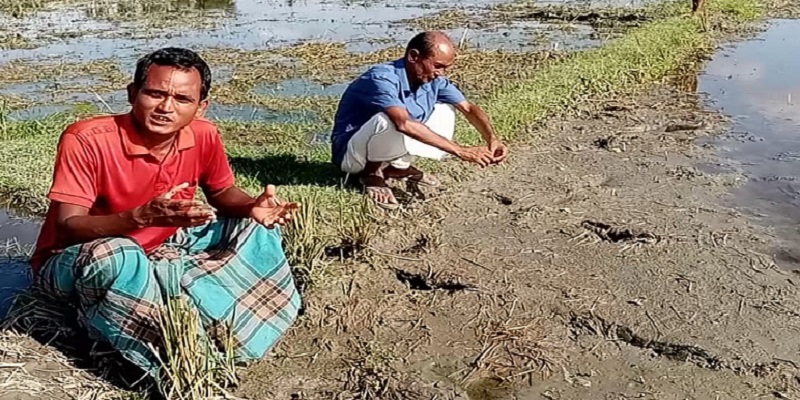 ডোমারে অসহায় এক কৃষকের জমি দখলের চেষ্টা