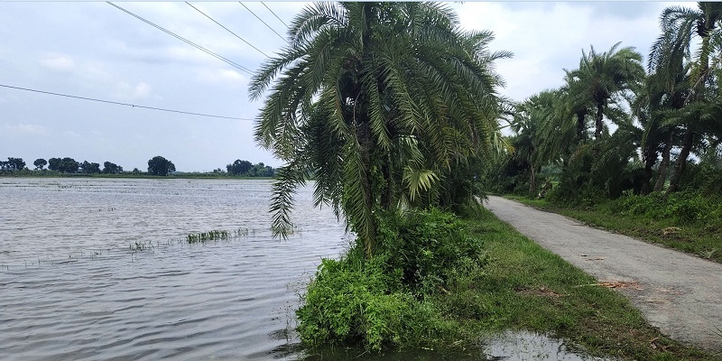 ঝিনাইদহে ত্রিশ গ্রামের দশ হাজার হেক্টর জমির ফসল তলিয়ে গেছে