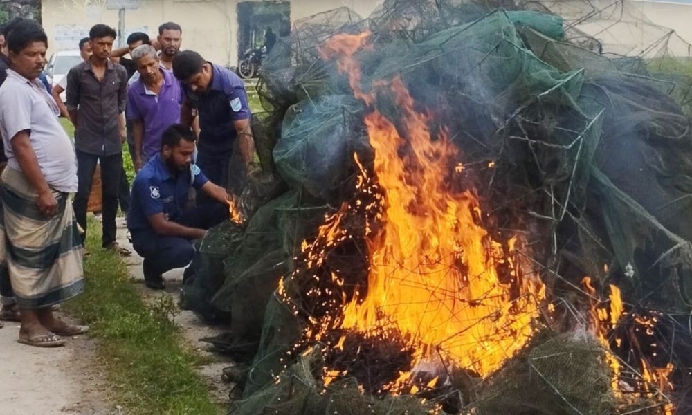 বালিয়াকান্দিতে ১০ লাখ টাকার চায়না দুয়ারি জাল ধ্বংস