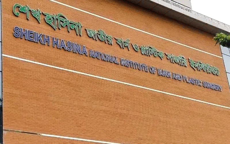 গ্যাস লিকেজ থেকে বাসায় ছড়ালো আগুন, একই পরিবারের ৯ জন দগ্ধ